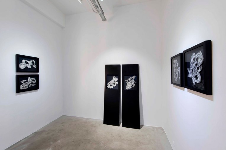 Hatıralar ve Mektuplar